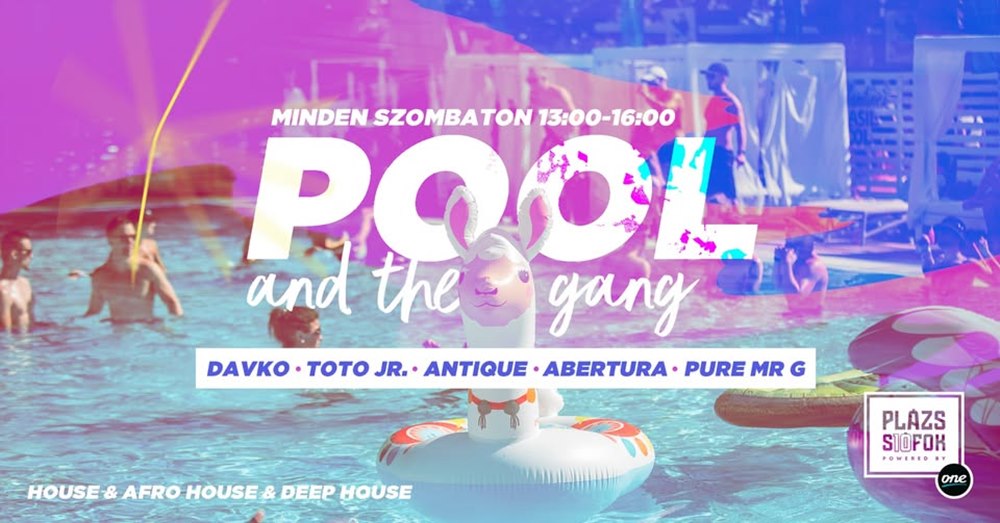 poolandthegang